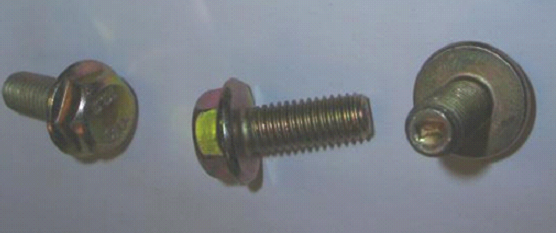 Flange Screw